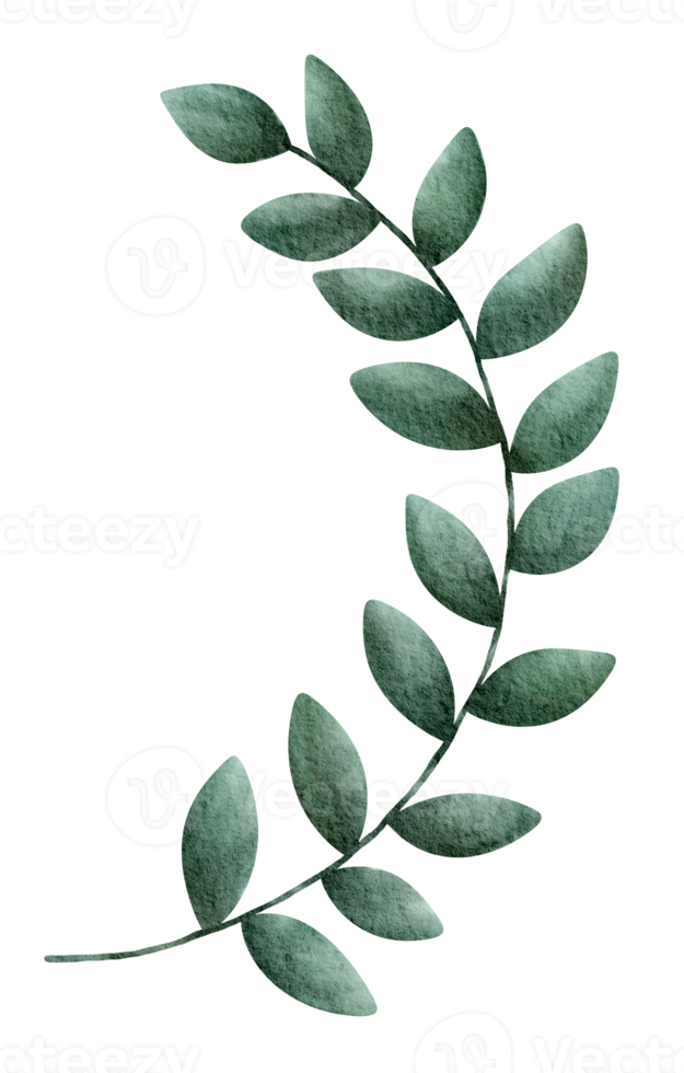 aquarela tropical e exótica árvore de folhas verdes png