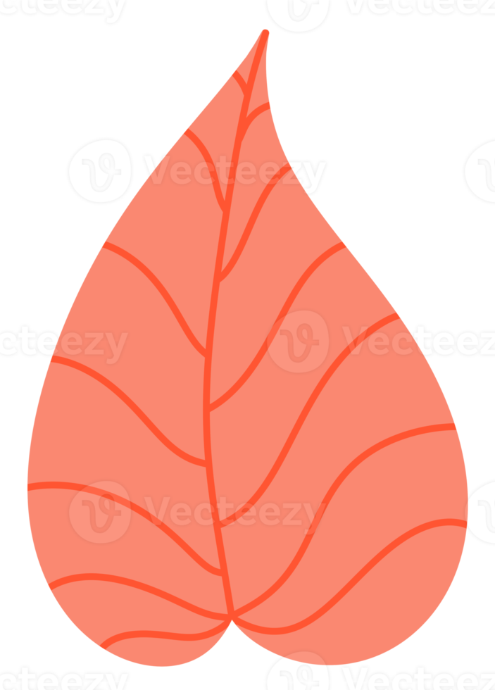 Pastel Orange Tropical leaves icon png