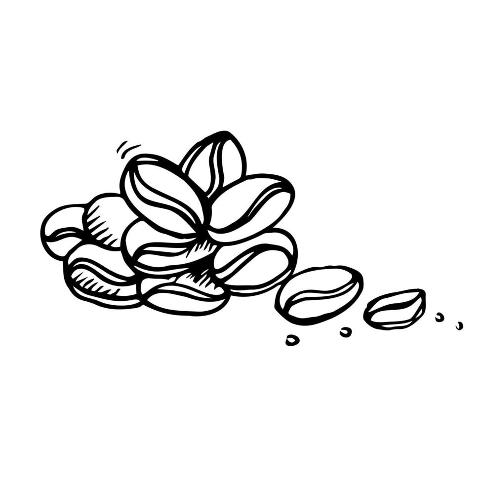 Handrawn vector Coffee bean on White Isolated background in doodle style