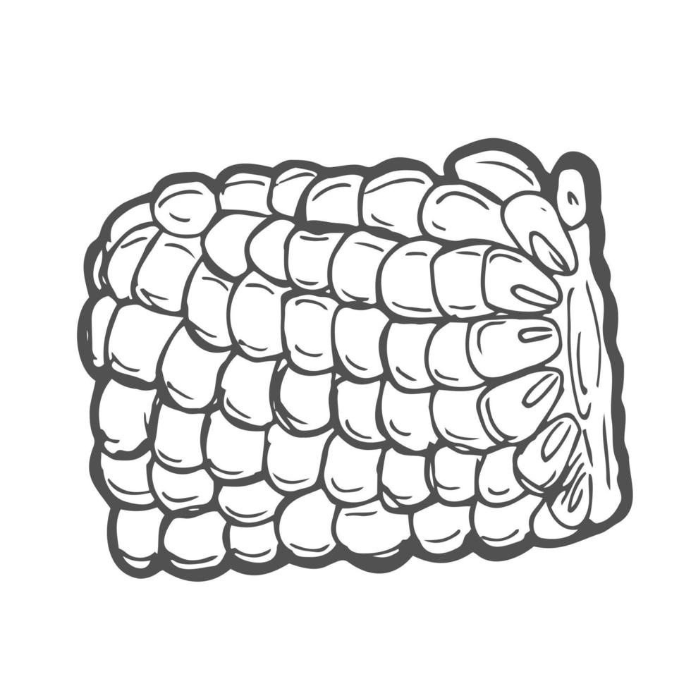 Doodle outline corn piece. Vector hand-drawn illustration for packing isolated on transparent background