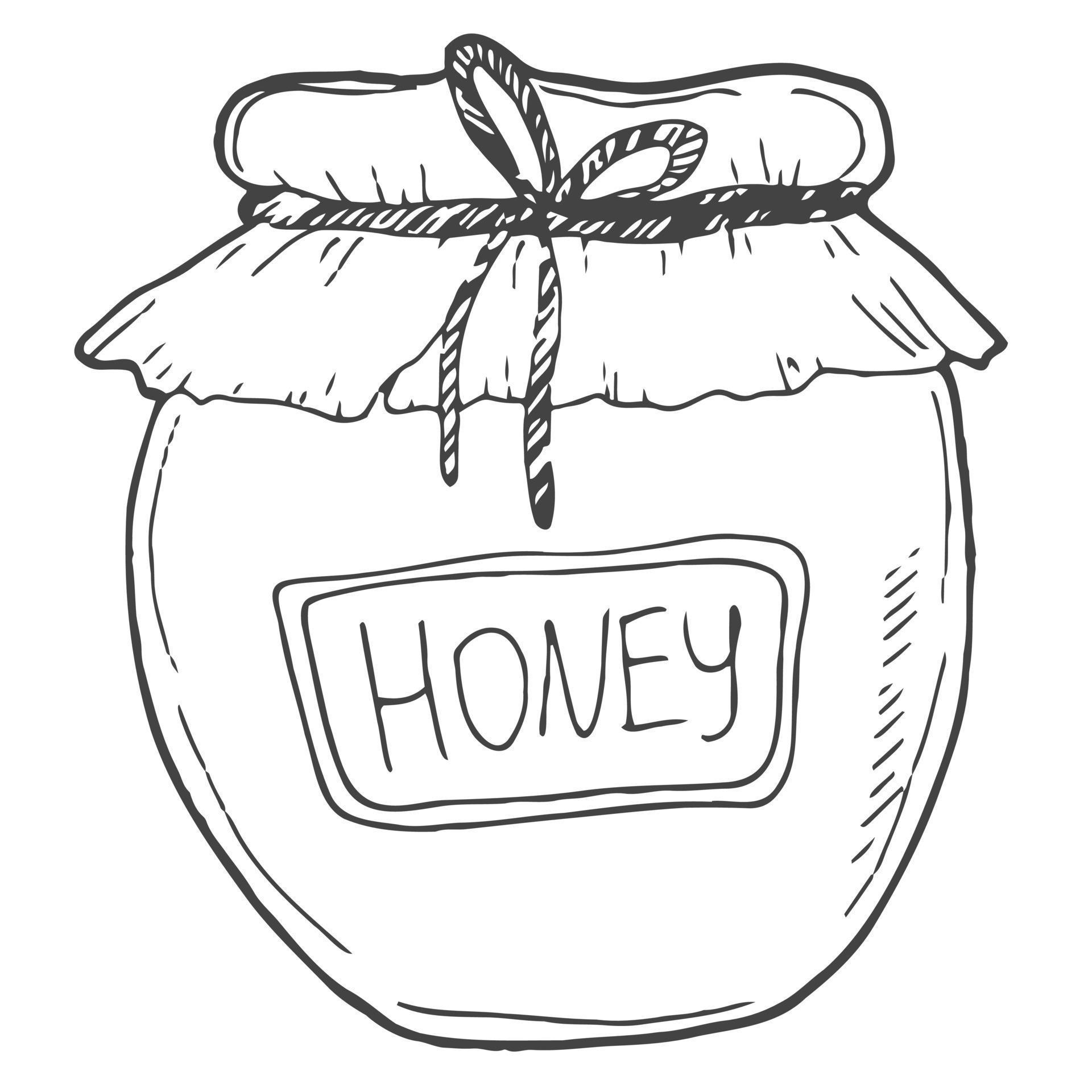 Honey jar sketch. Engraved organic food hand drawn sketch illustration