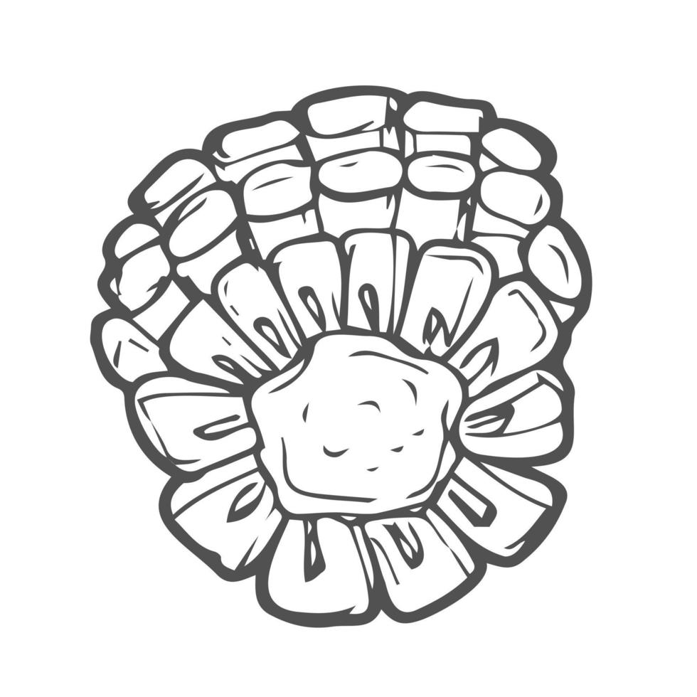 Doodle piece of corn sketch on white background vector