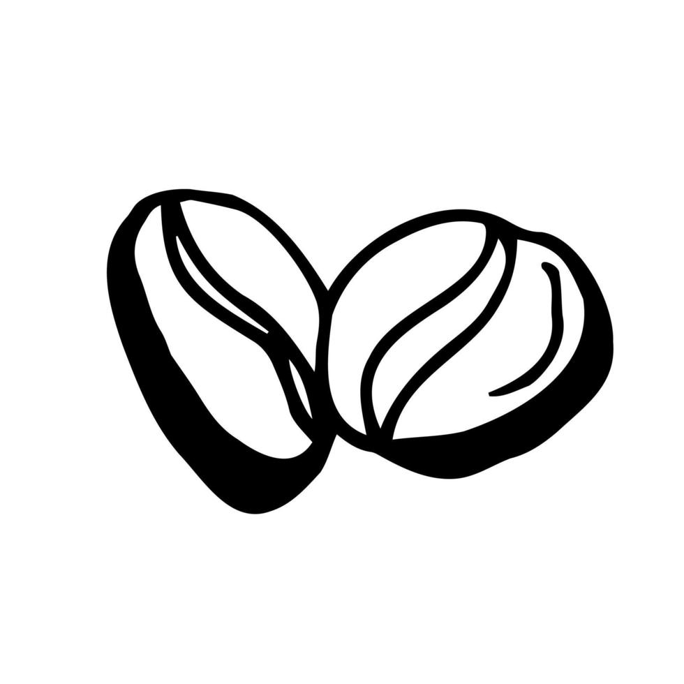 Handrawn vector Coffee bean on White Isolated background in doodle style