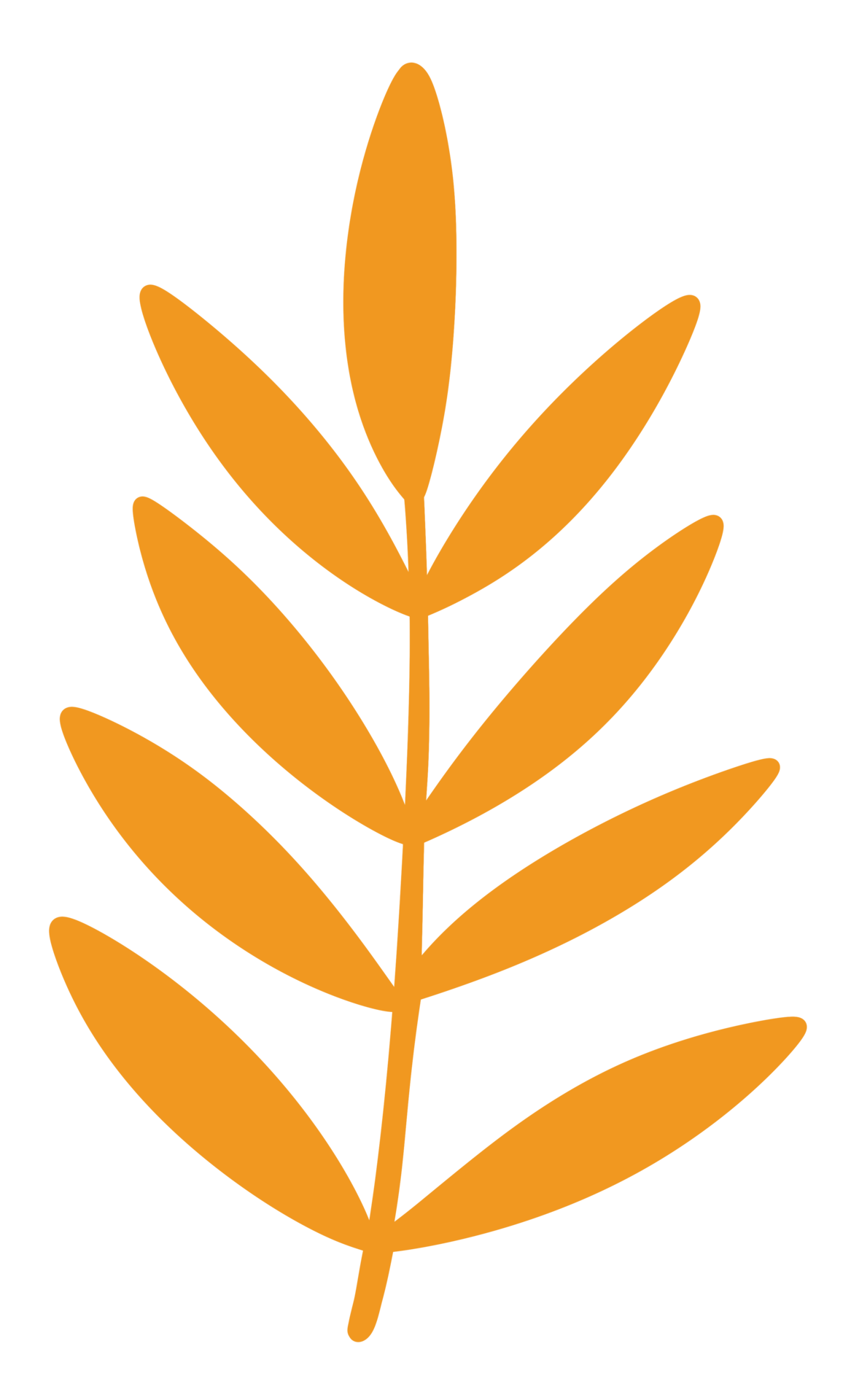 Pastel Orange Tropical Palm Leaf 18802264 PNG pastel-orange-tropical-palm-leaf-18802264-png