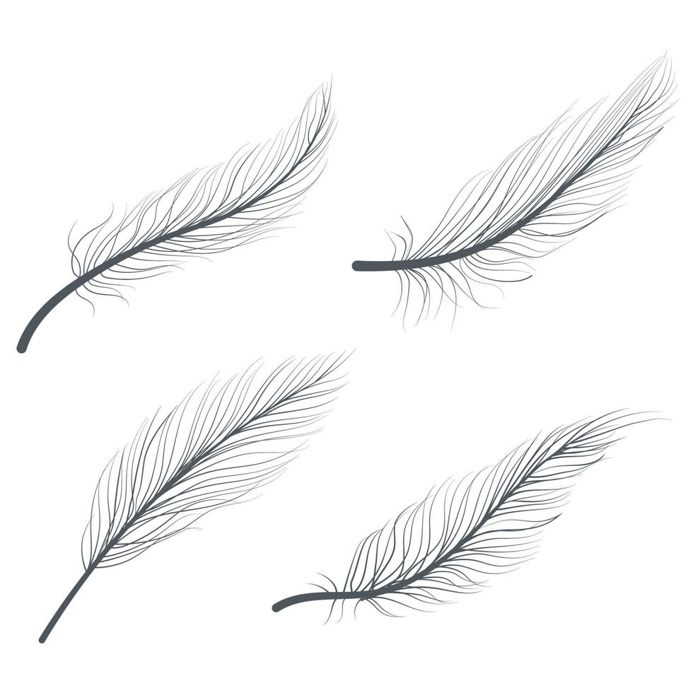 Hand drawn bird feathers line art doodle drawing vector