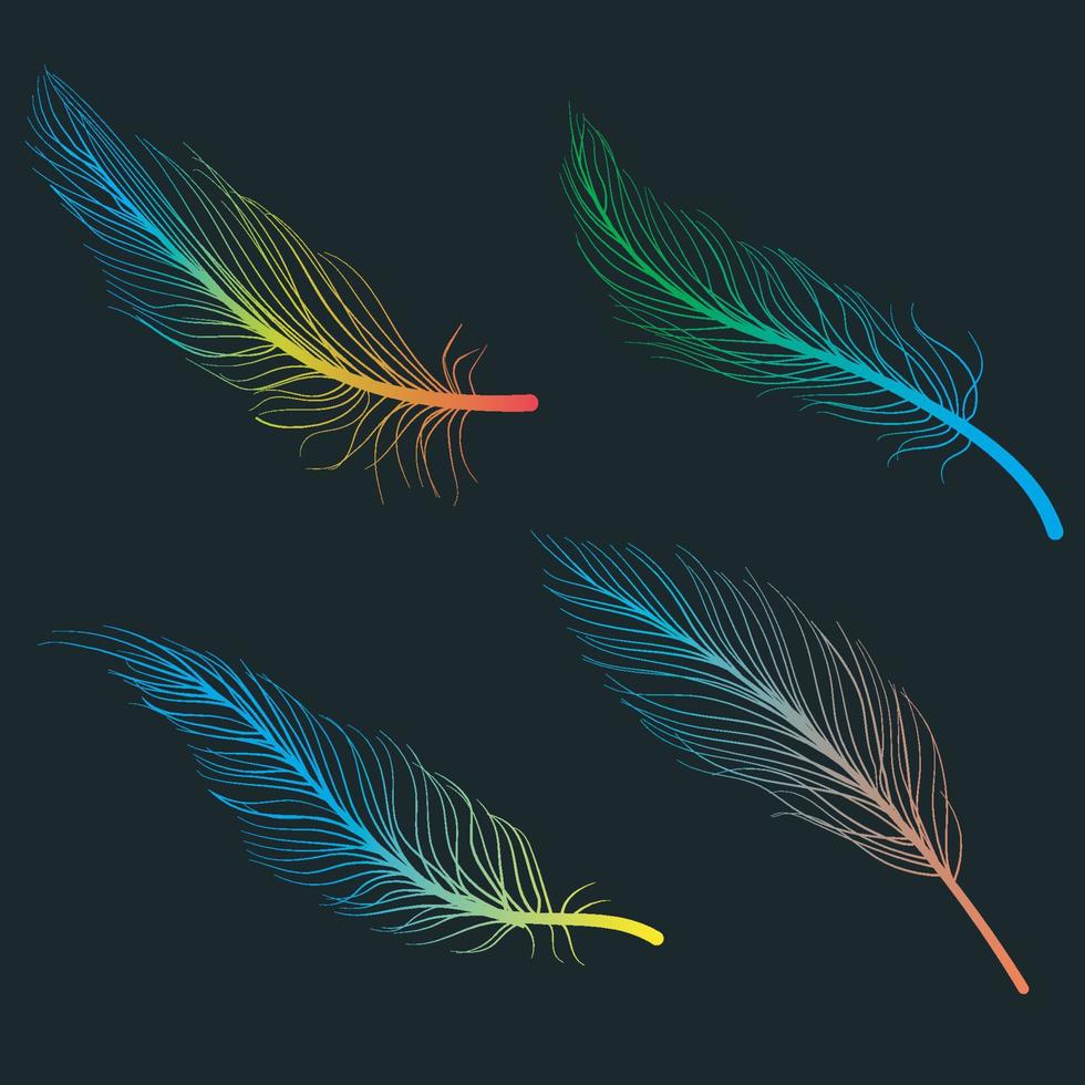 Hand drawn color bird feathers line art doodle drawing black background vector