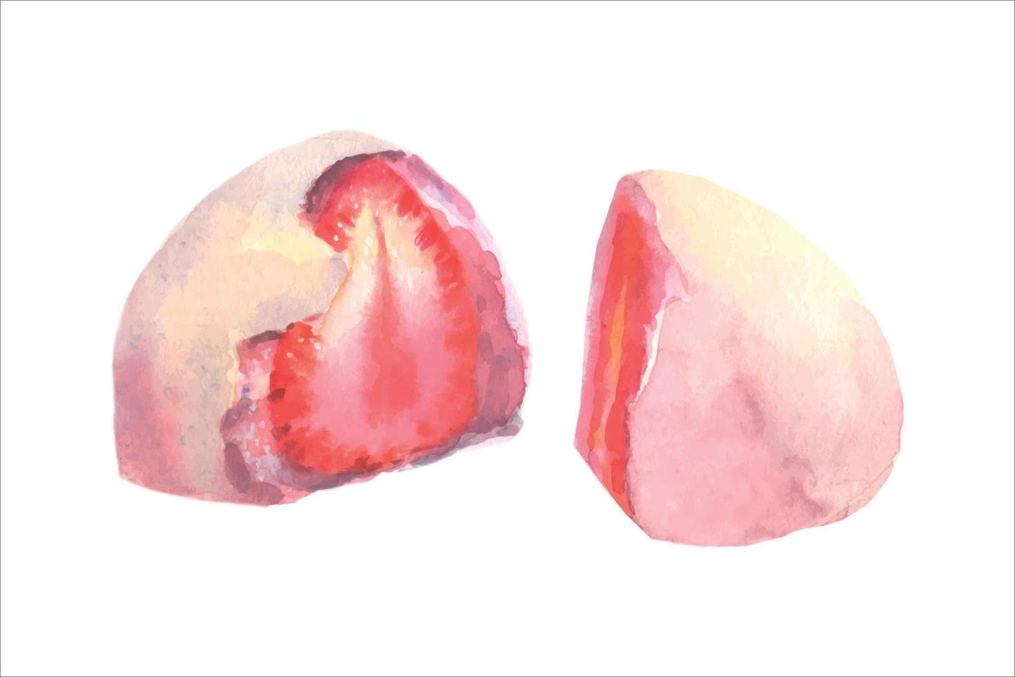 Japanese famous traditional strawberry daifuku, watercolor illustration on white background. Asian food. vector