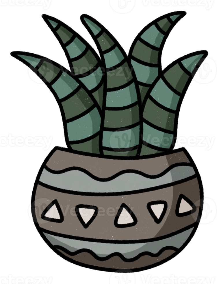 Cute cactus in pot icon. png