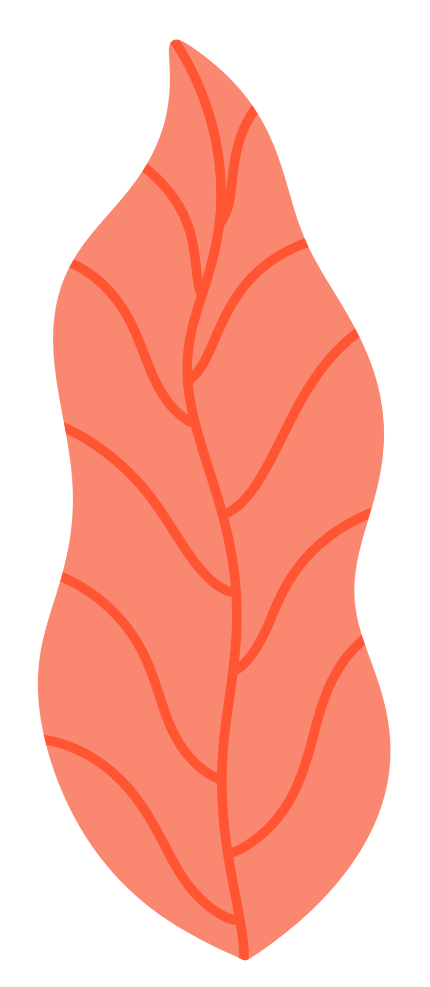 Pastel Orange Tropical Leaves Icon 18802971 PNG pastel-orange-tropical-leaves-icon-18802971-png