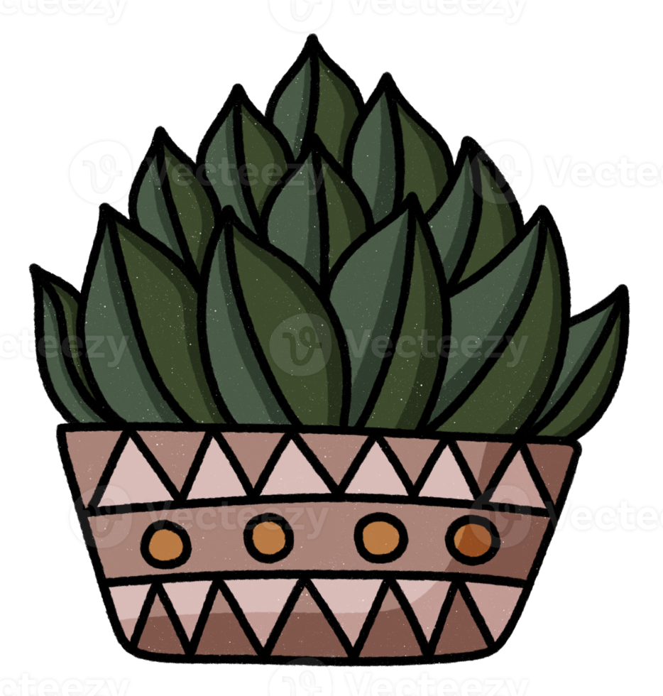 Cute cactus in pot icon. png