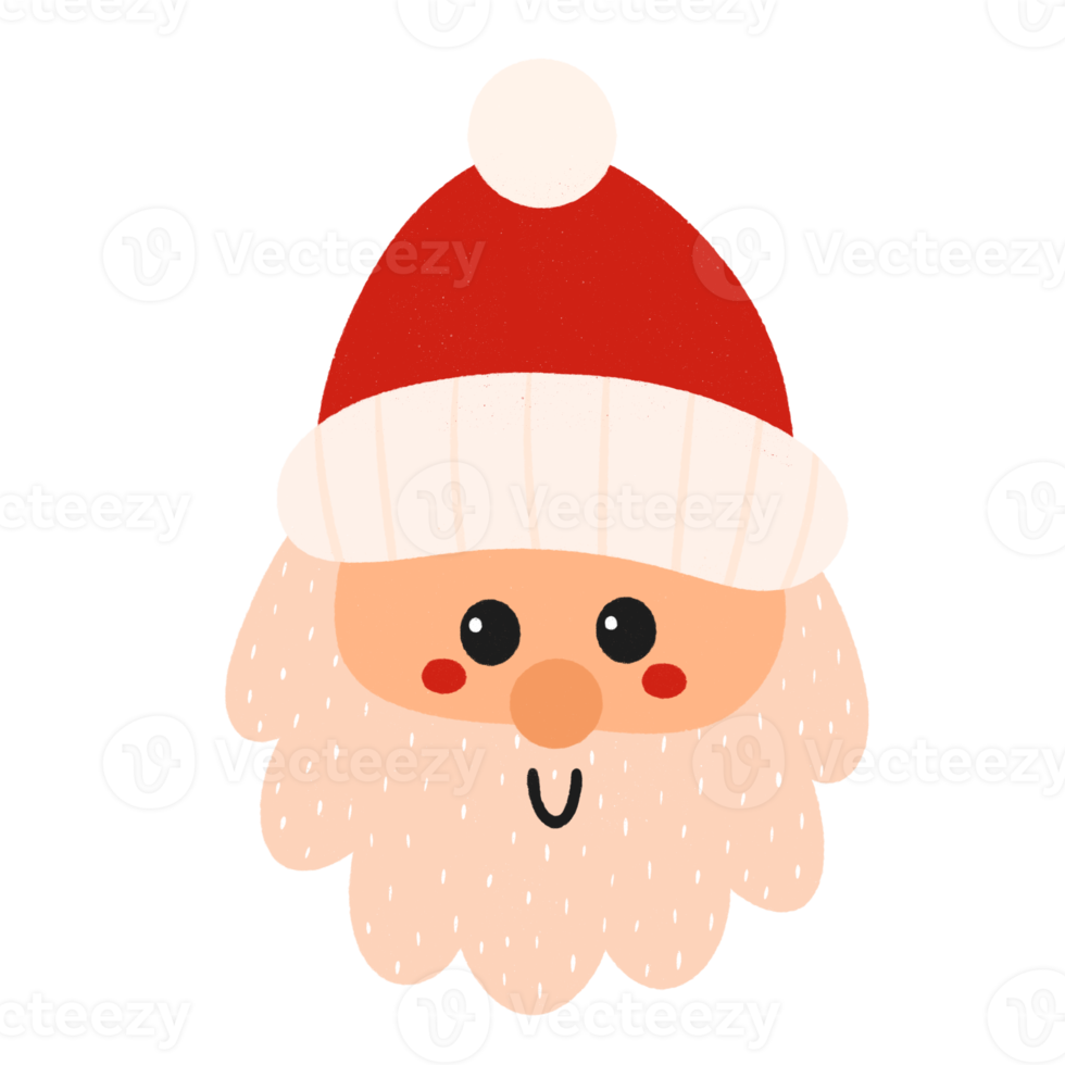 Head Santa claus christmas icon. png