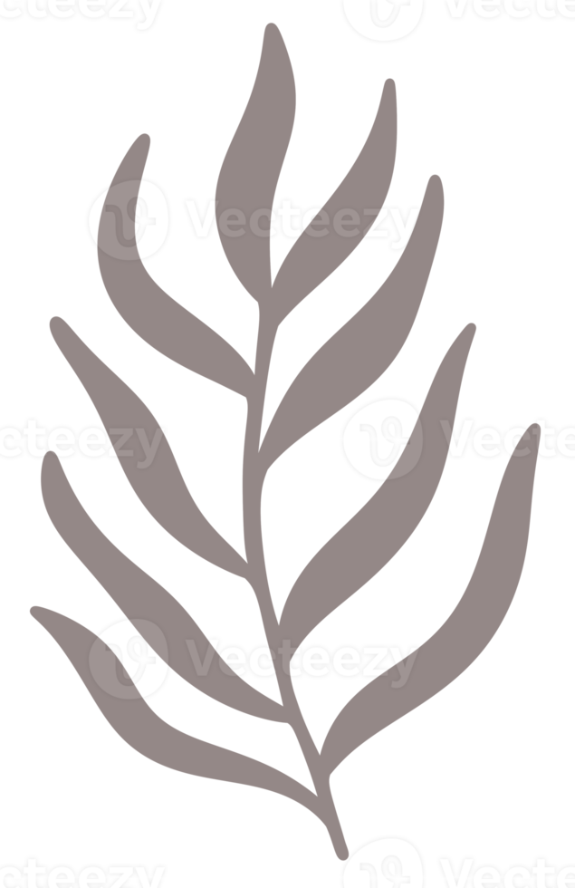 pastell grå tropisk handflatan blad png