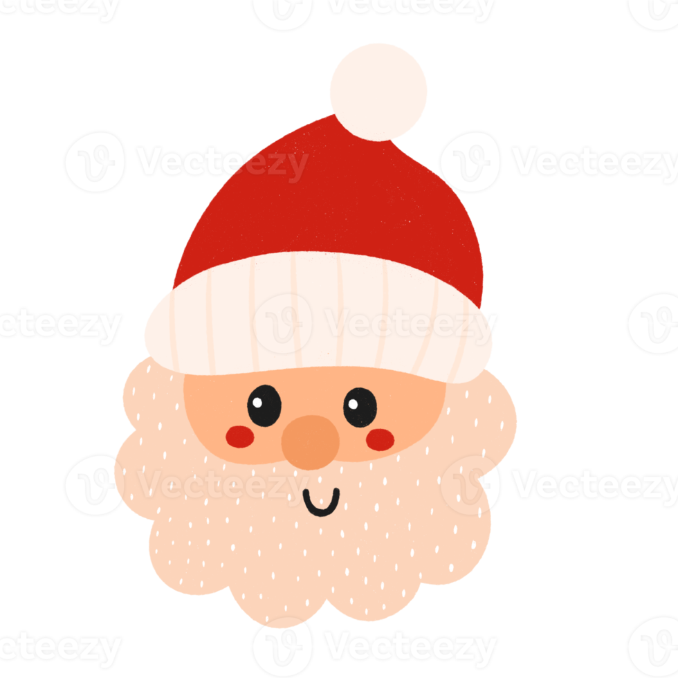 Head Santa claus christmas icon. png