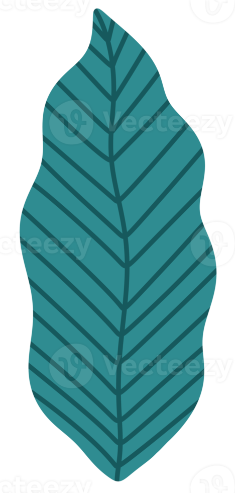 Pastel Green Tropical leaves icon png