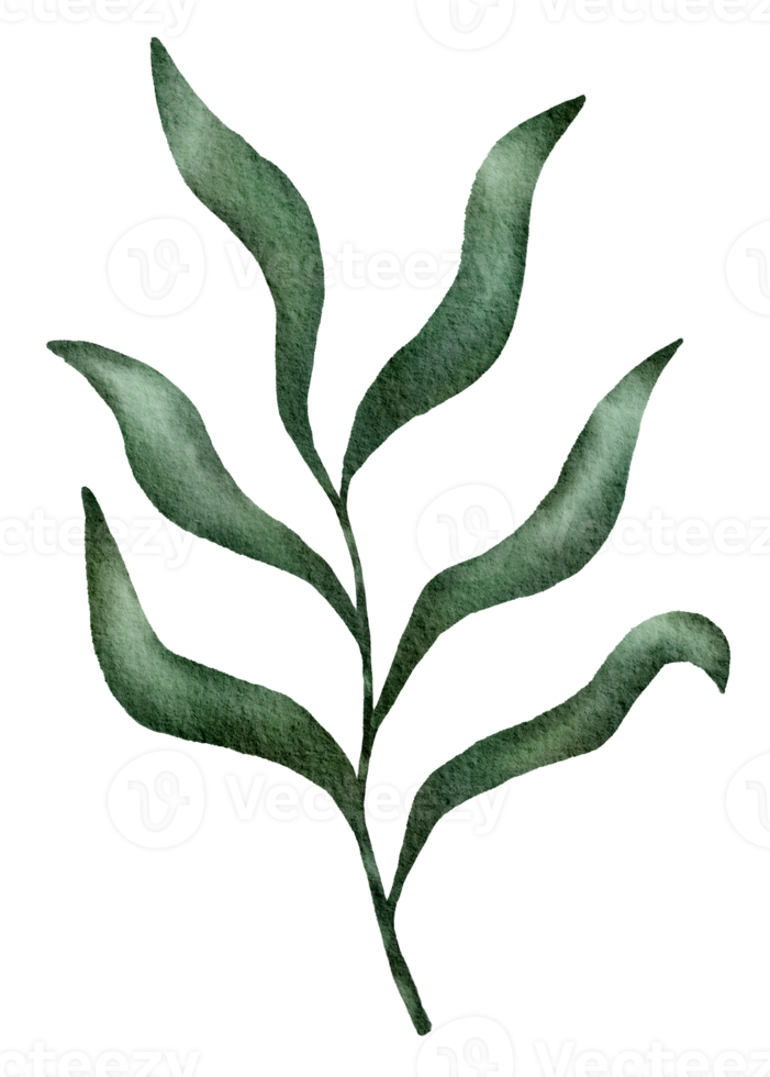 waterverf van tropisch groen bladeren png