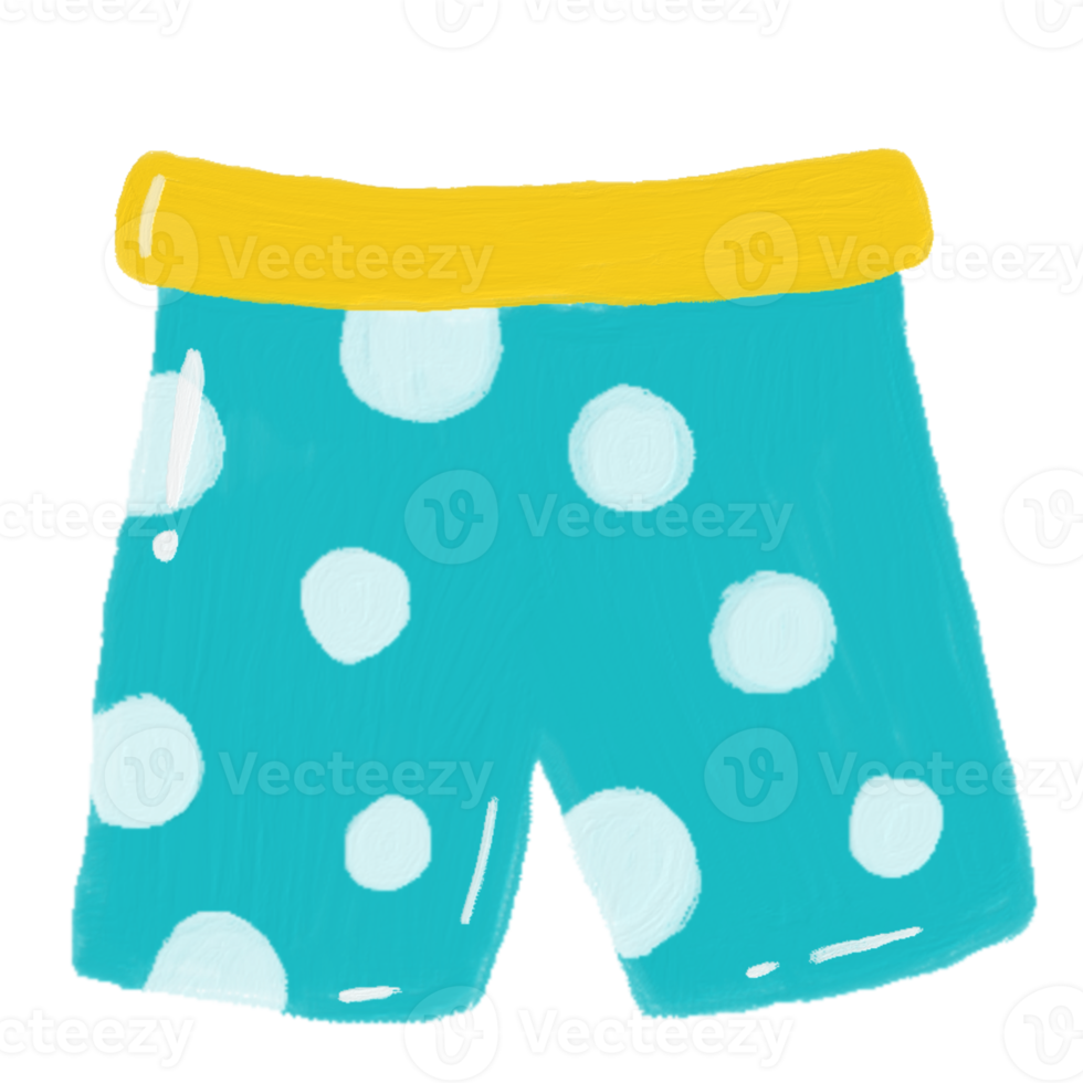 Male swimming shorts icon png