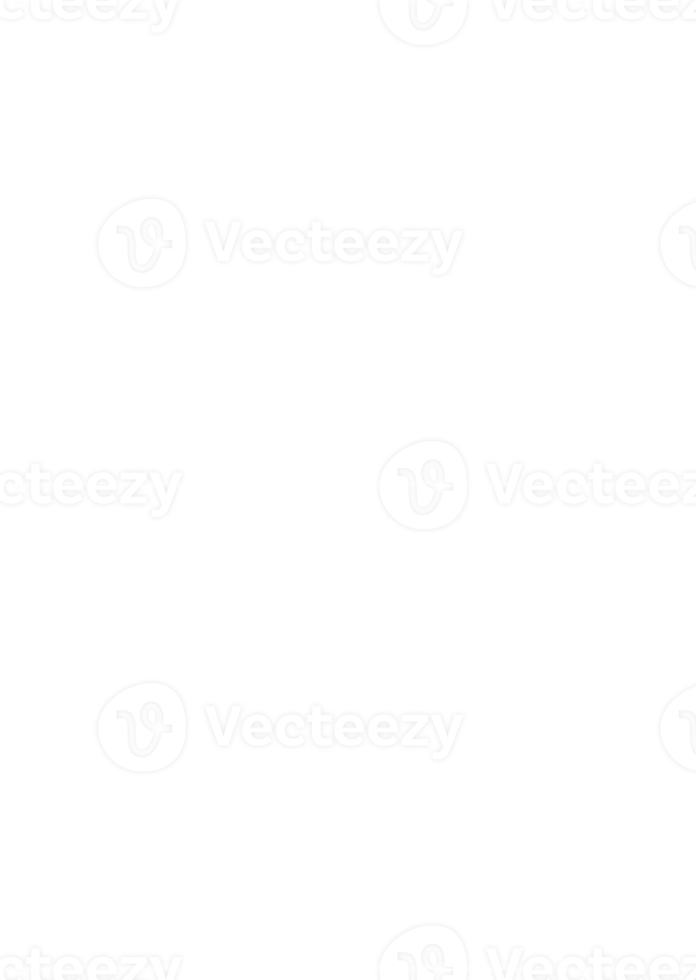 line art tropical leaves. png