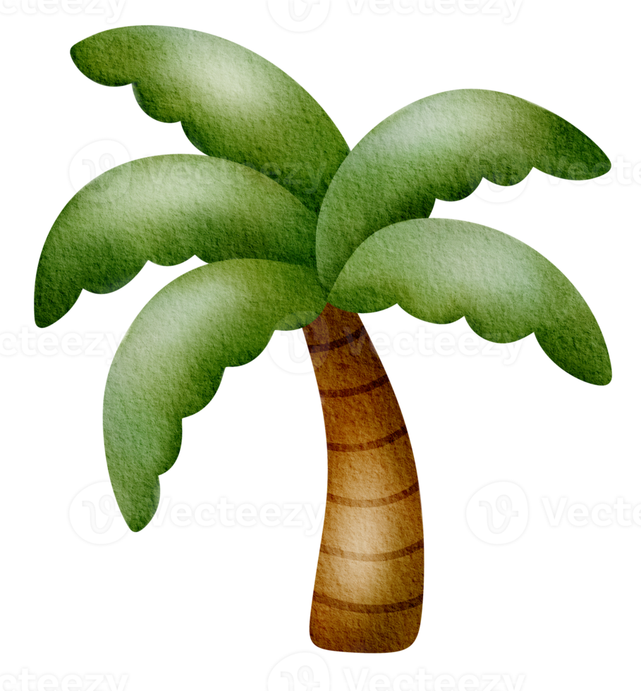 Watercolor palm trees with coconuts icon png