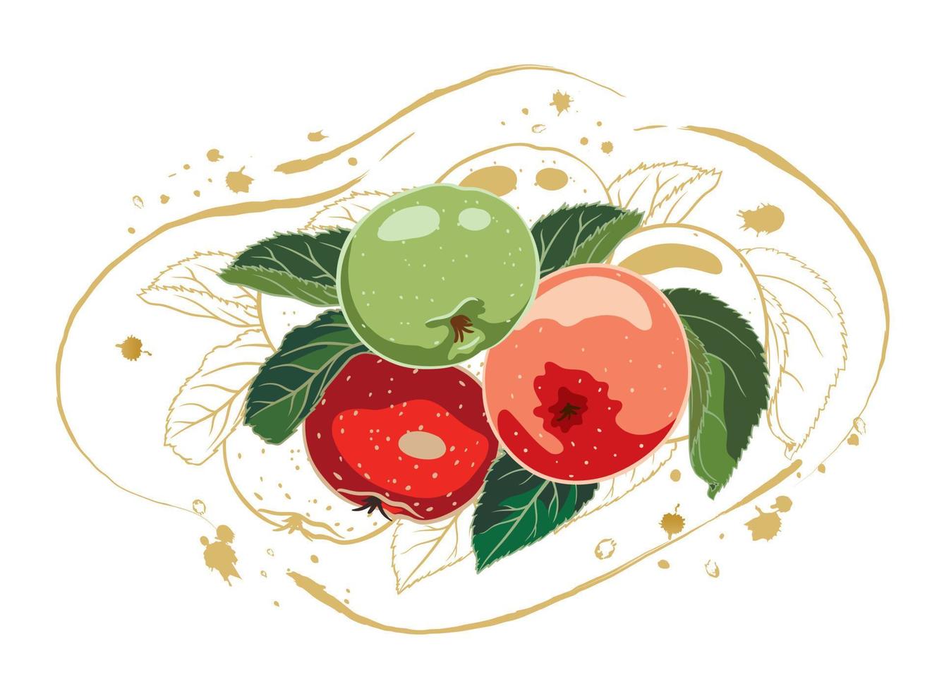 composition of red and green apples with leaves on the background of a golden contour. vector illustration