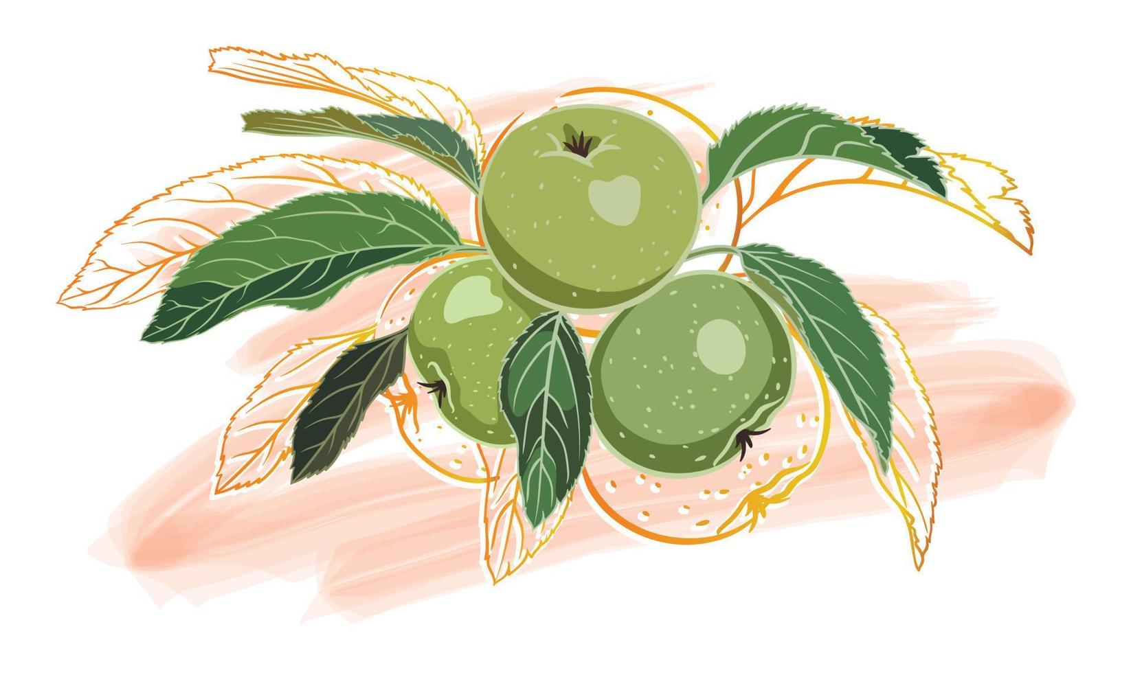 composition of green apples with leaves, golden outline, on a colored background vector