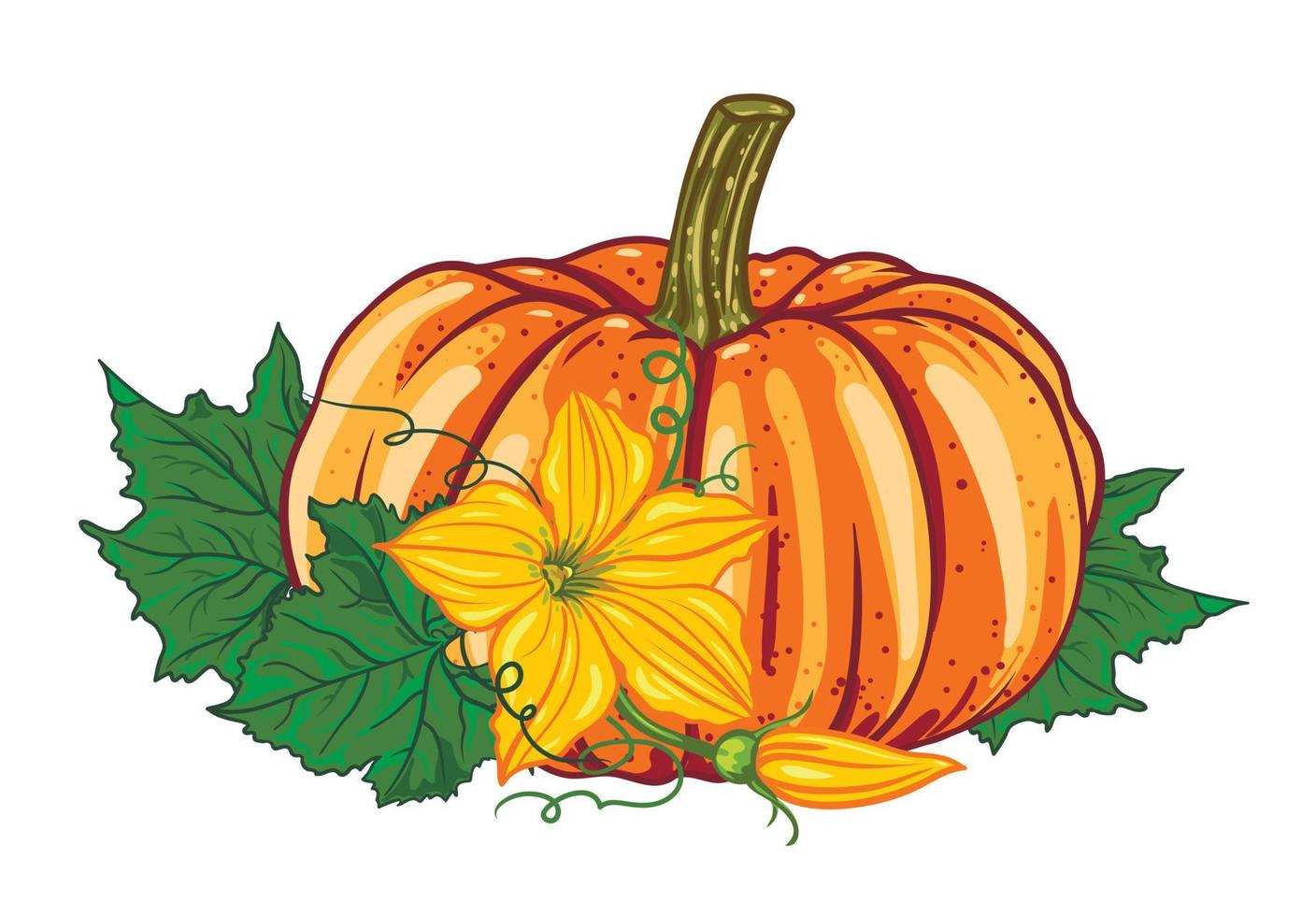 calabaza naranja con hojas verdes y flores amarillas aisladas en fondo blanco. composición de otoño. Víspera de Todos los Santos. ilustración vectorial botánica vector