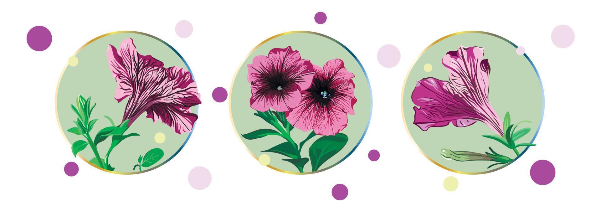 Set of cards with petunia flowers isolated in a green circle on a white background with colorful dots. Green leaves, opened buds, closed buds, lilac and pink flowers. vector