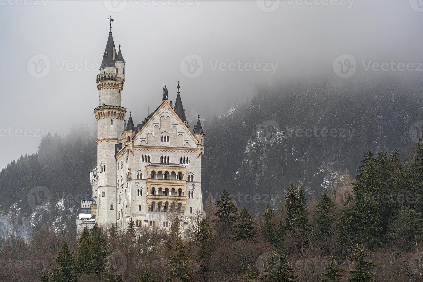 neuschwanstein castle in winter photo