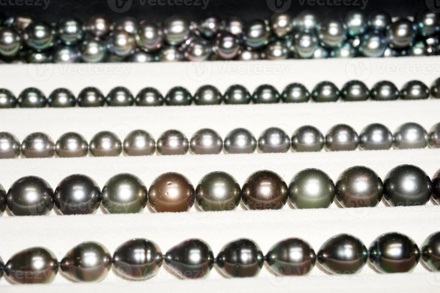 black pearls of french polynesia photo