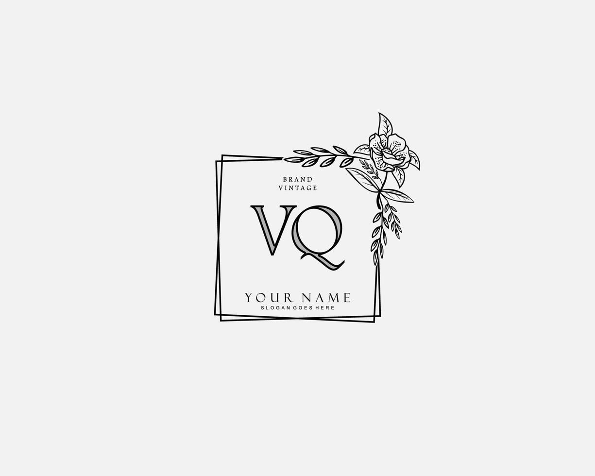 monograma de belleza vq inicial y diseño de logotipo elegante, logotipo de escritura a mano de firma inicial, boda, moda, floral y botánica con plantilla creativa. vector