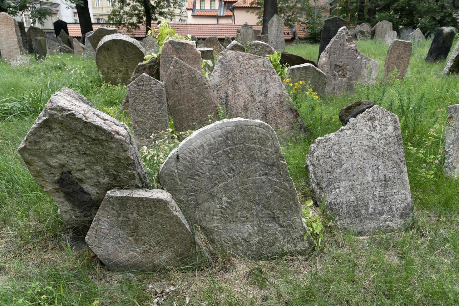 jewish old cemetery in prague photo