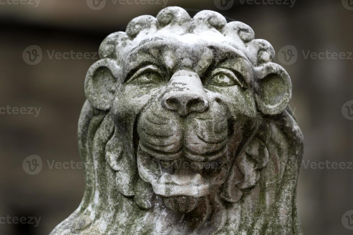 jewish old cemetery in prague photo