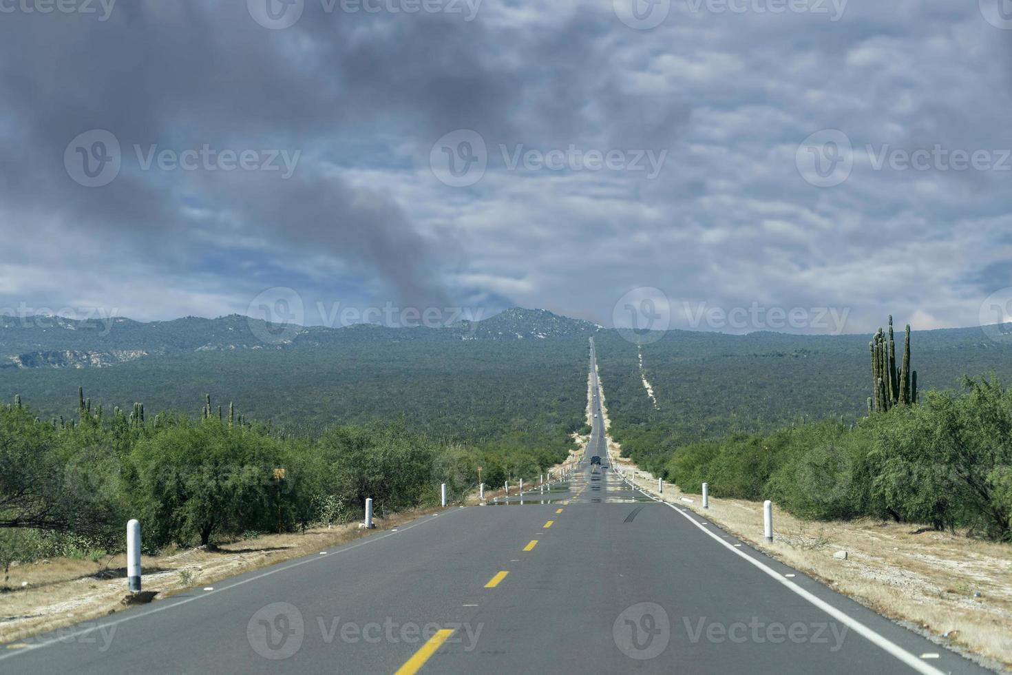 baja california paisaje recto sin fin panorama carretera foto