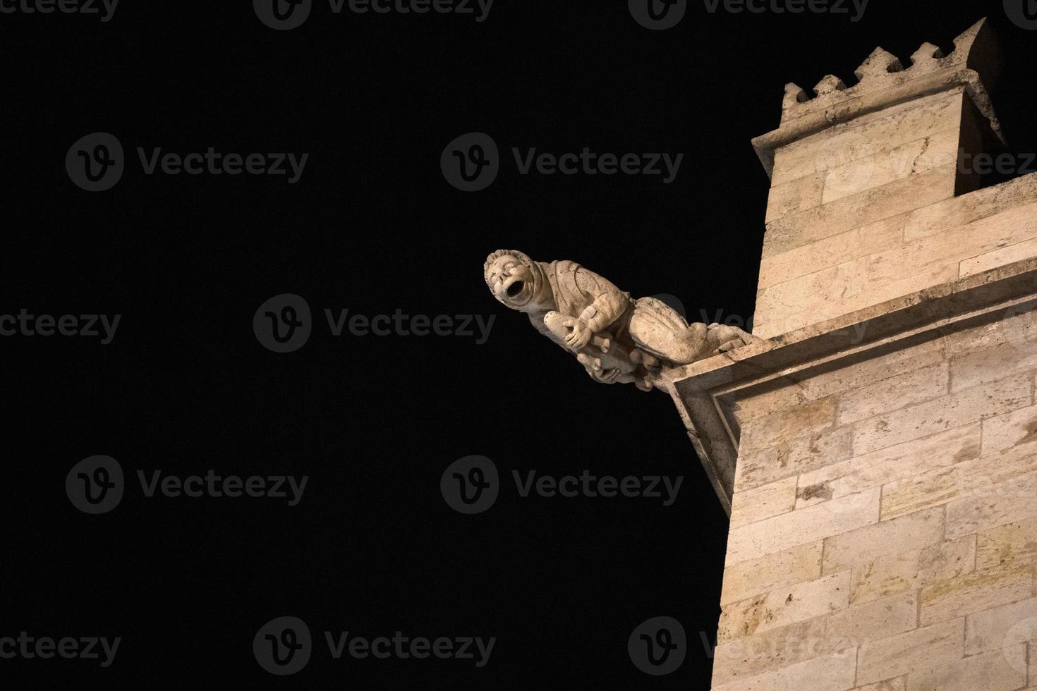 Valencia Silk Exchange Market building Lonja de la Seda gargoyles at night photo