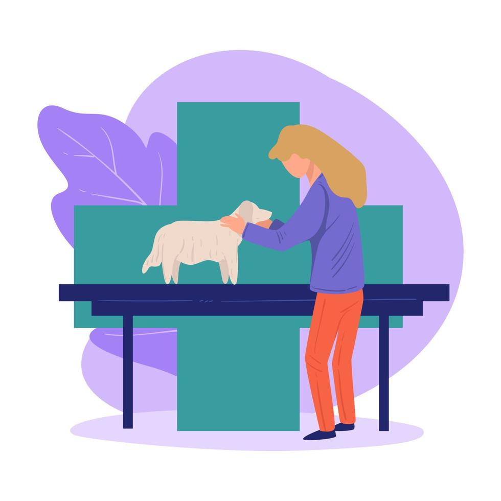 Dog at clinics on chekup at veterinarian doc vector