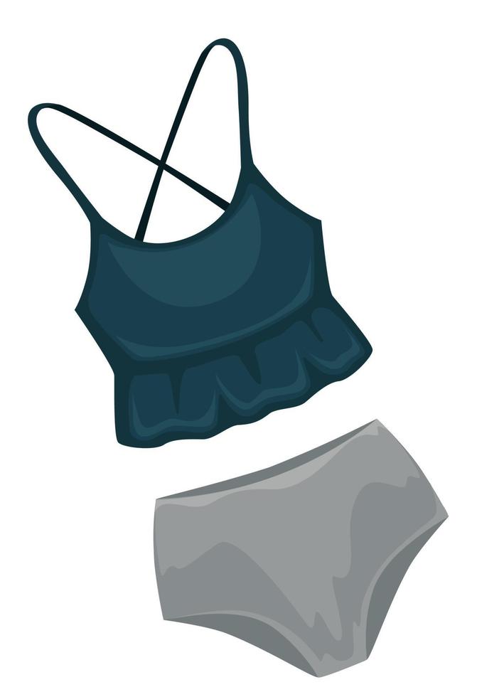 Swimming suit for female, two piece trendy swimsuit vector