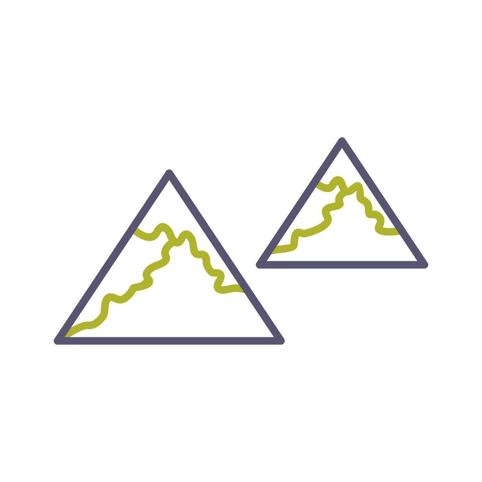Unique Line Two Color Vector Icon
