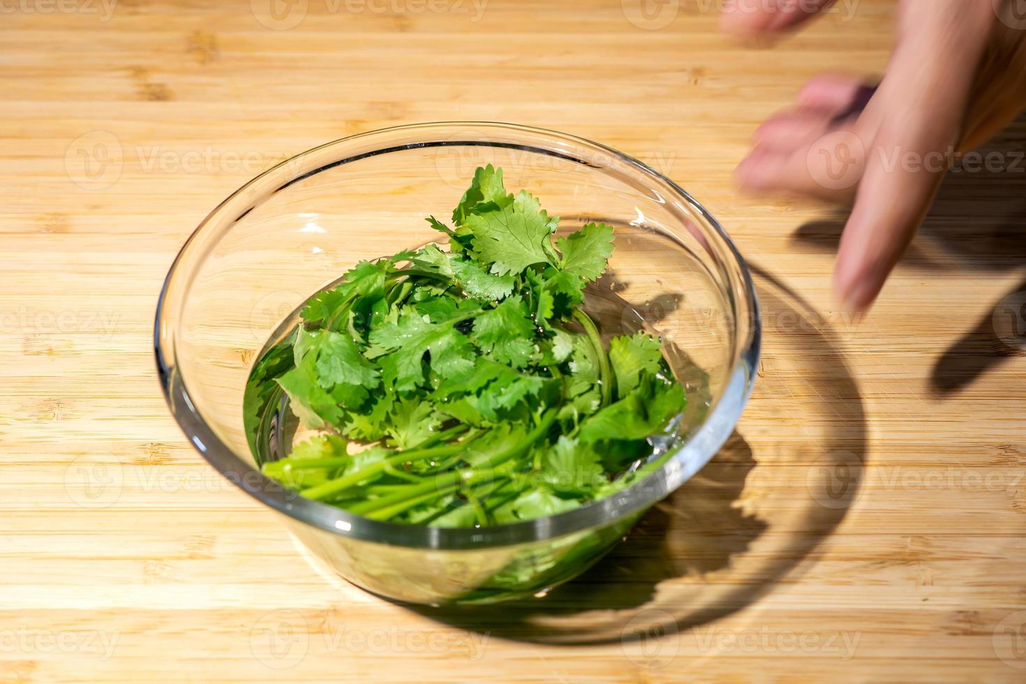 Close up with fresh coriander is prepared in a water glass bowl on wood plate background. photo