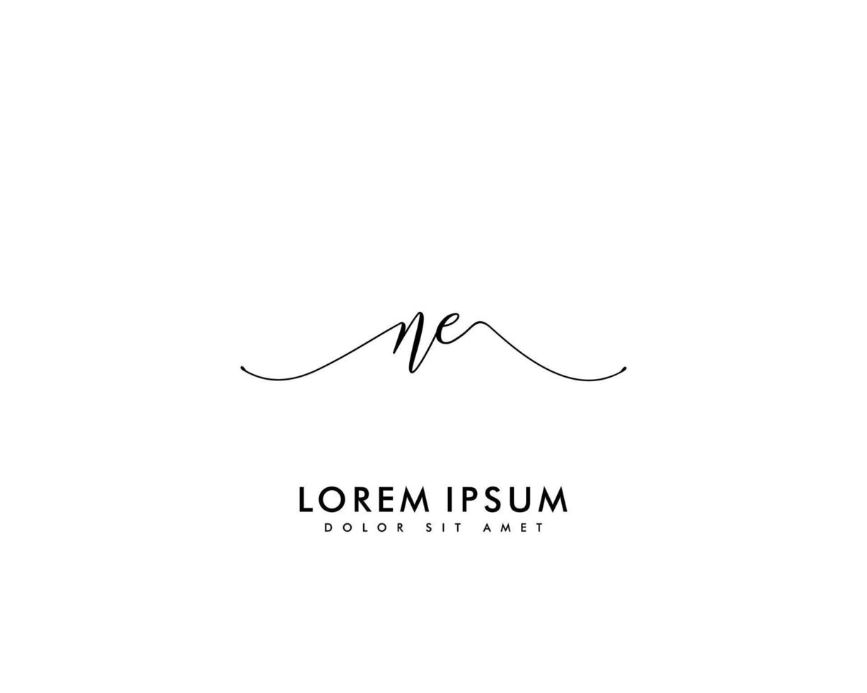 Initial letter NE Feminine logo beauty monogram and elegant logo design, handwriting logo of initial signature, wedding, fashion, floral and botanical with creative template vector