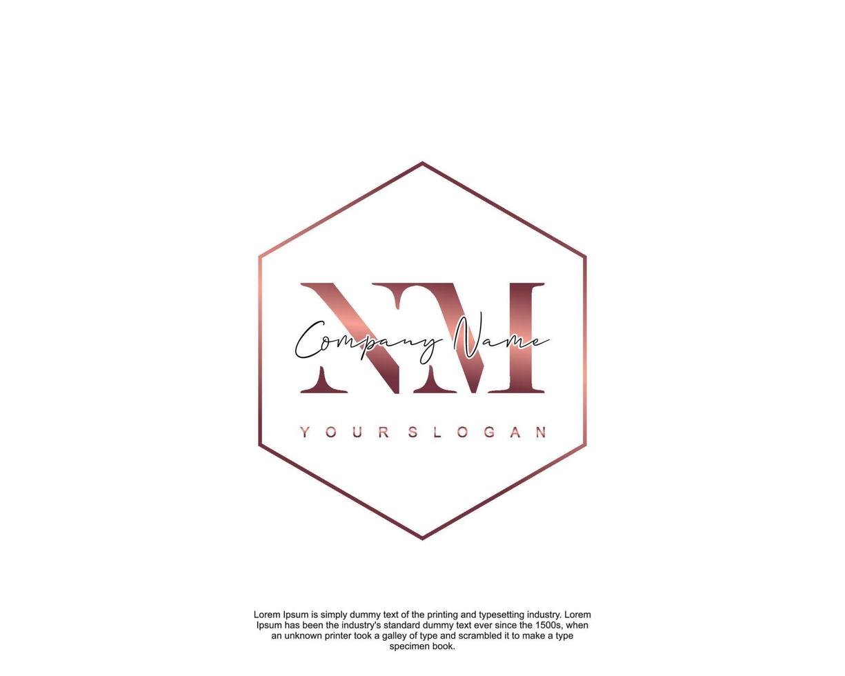 Initial letter NM Feminine logo beauty monogram and elegant logo design, handwriting logo of initial signature, wedding, fashion, floral and botanical with creative template vector