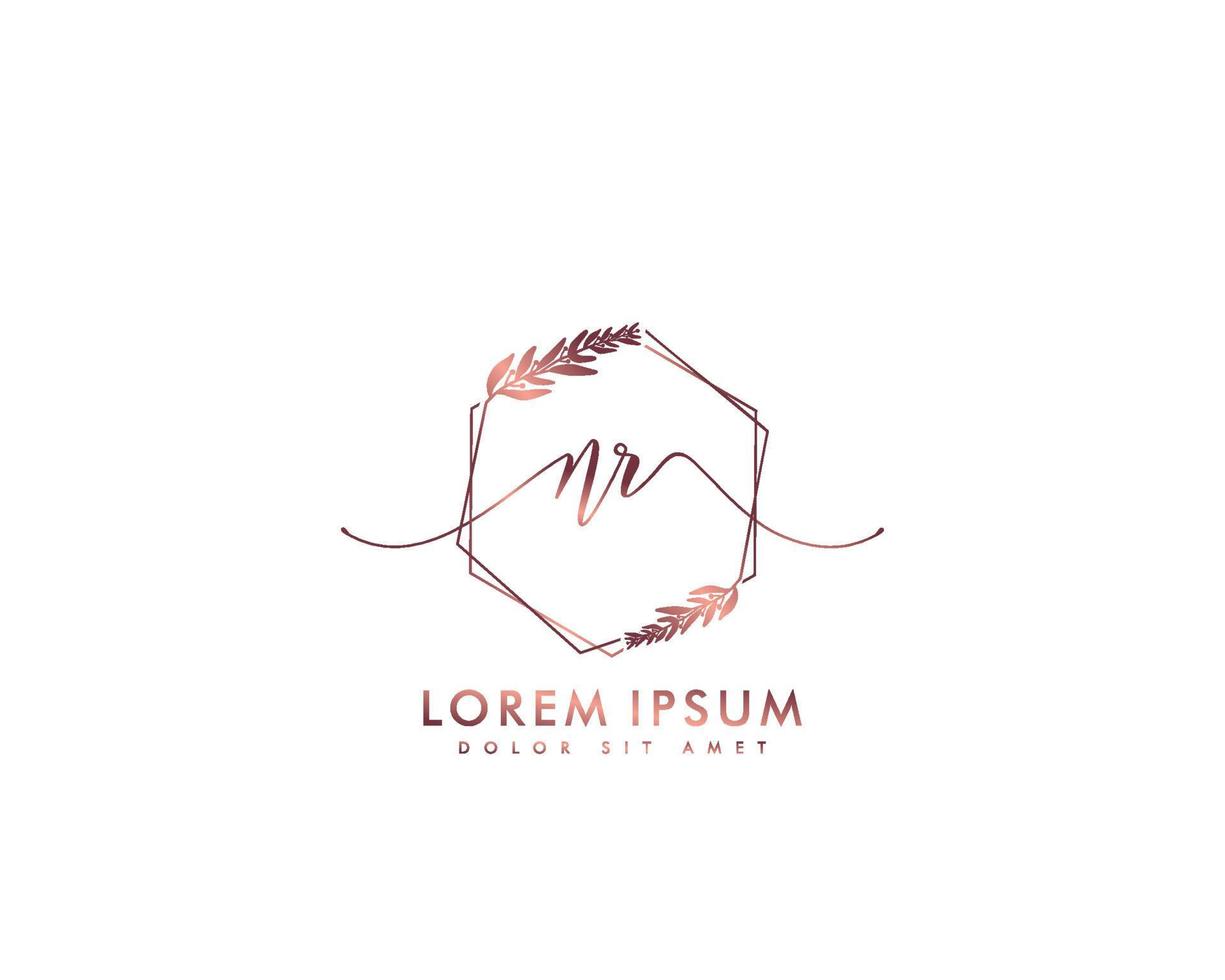 Initial letter NR Feminine logo beauty monogram and elegant logo design, handwriting logo of initial signature, wedding, fashion, floral and botanical with creative template vector