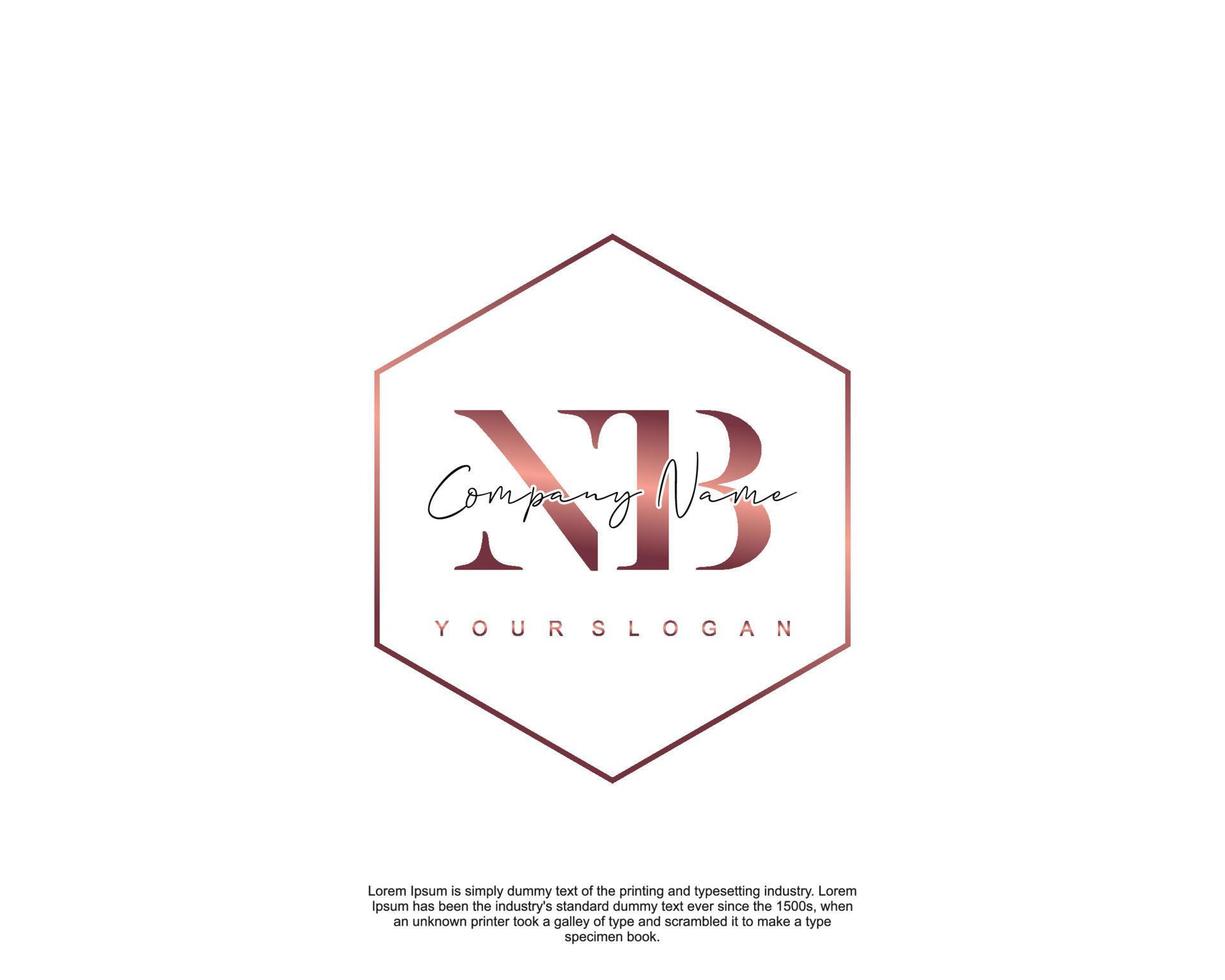 Initial letter NB Feminine logo beauty monogram and elegant logo design, handwriting logo of initial signature, wedding, fashion, floral and botanical with creative template vector