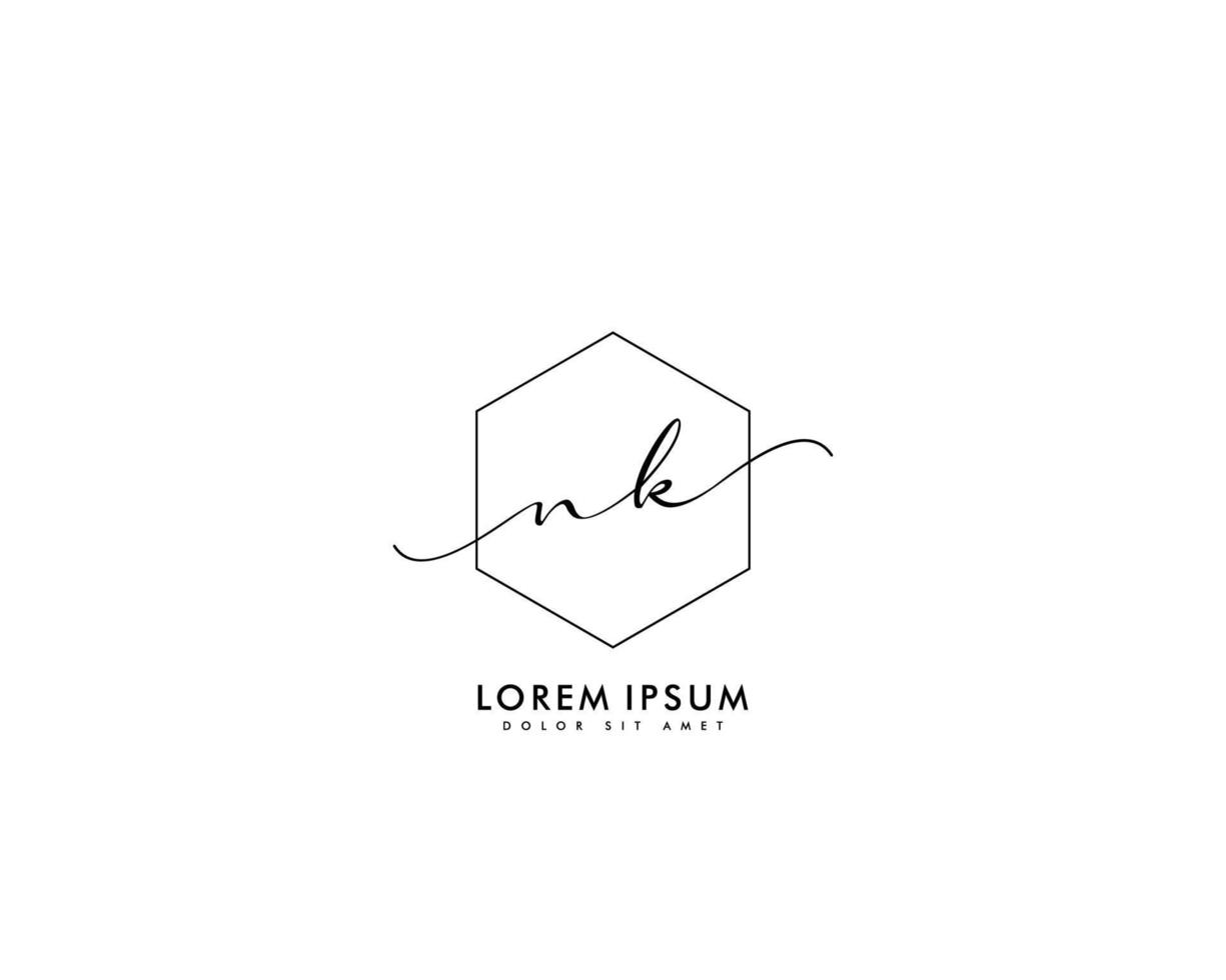 Initial letter NK Feminine logo beauty monogram and elegant logo design, handwriting logo of initial signature, wedding, fashion, floral and botanical with creative template vector