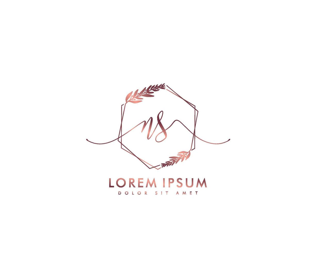 Initial letter NS Feminine logo beauty monogram and elegant logo design, handwriting logo of initial signature, wedding, fashion, floral and botanical with creative template vector