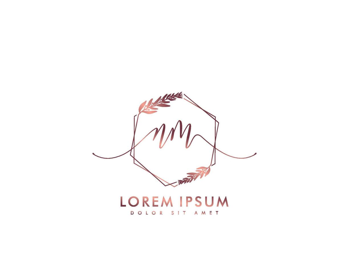Initial letter NM Feminine logo beauty monogram and elegant logo design, handwriting logo of initial signature, wedding, fashion, floral and botanical with creative template vector