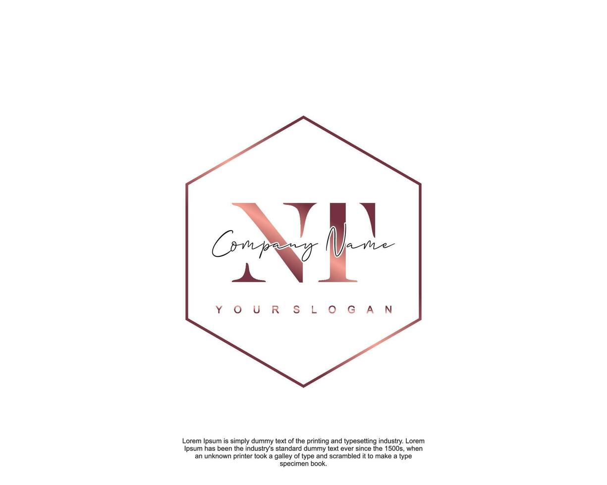 Initial letter NT Feminine logo beauty monogram and elegant logo design, handwriting logo of initial signature, wedding, fashion, floral and botanical with creative template vector