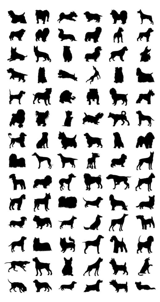 Silhouettes of different breeds of dog. A vector illustration