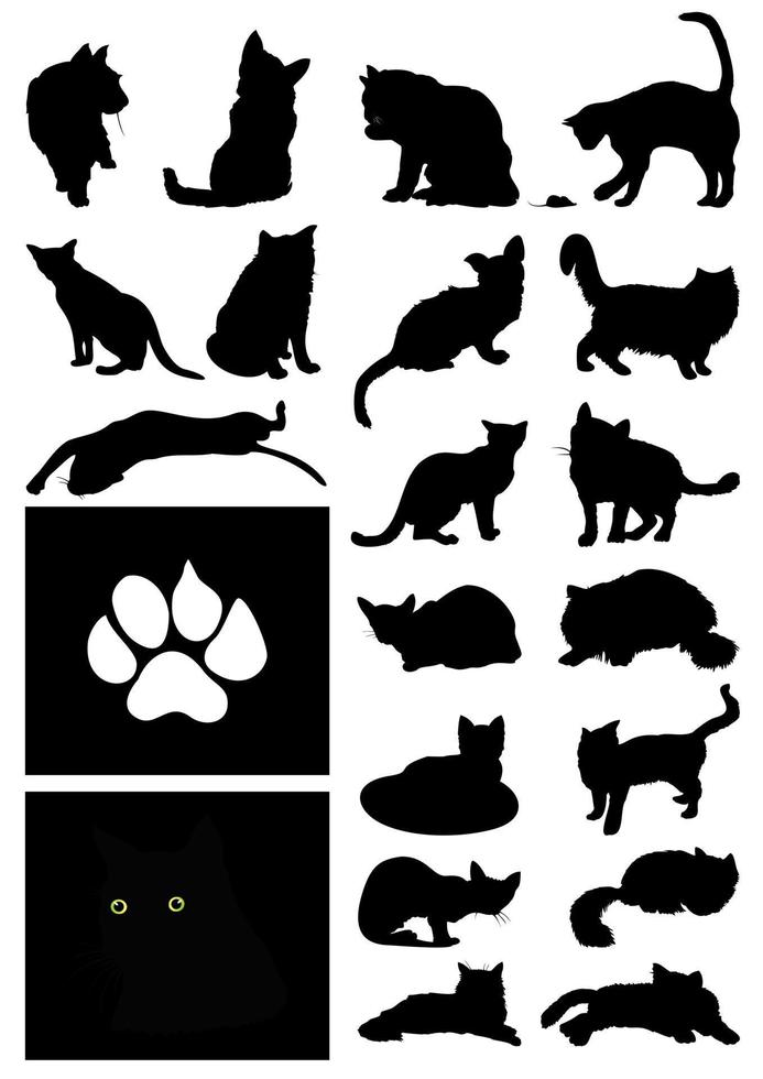 gato, vector, ilustración vector
