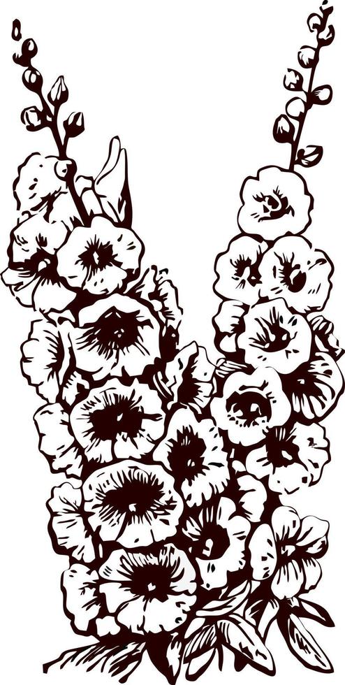 Flowers mallow - hand drawn vector illustration, stylized as engraving