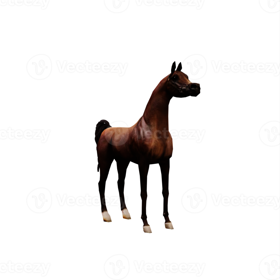 cavalo árabe 3d png