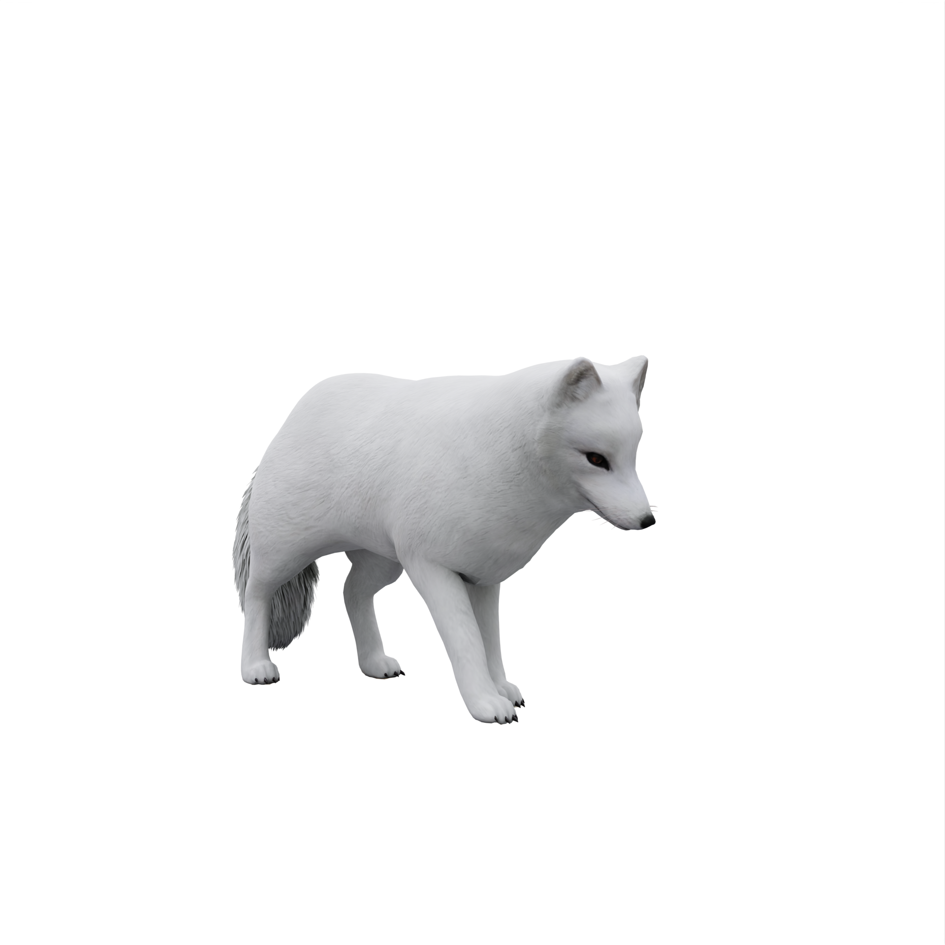 3d bianca artico Volpe PNG